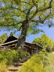 長徳寺の本殿