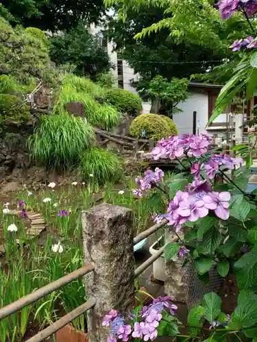 鳩森八幡神社の庭園