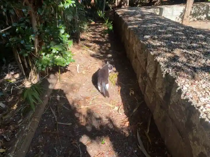 今市報徳二宮神社(栃木県)
