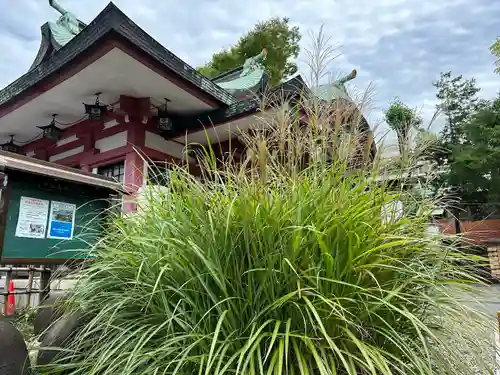 市谷亀岡八幡宮(東京都)