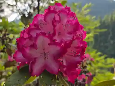 西光寺(奈良県)
