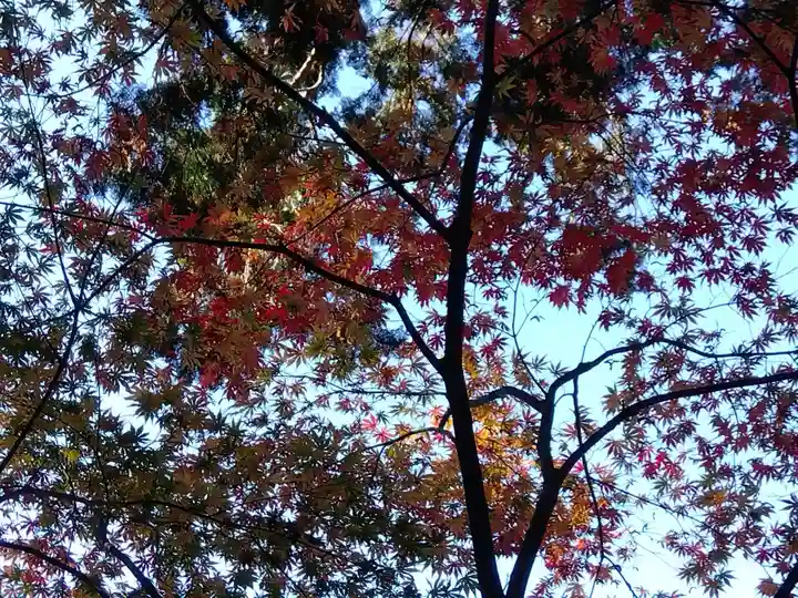 大原寺勝林院(京都府)