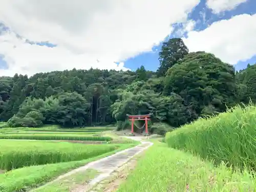 熊野神社の鳥居