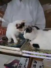 賀茂別雷神社の動物