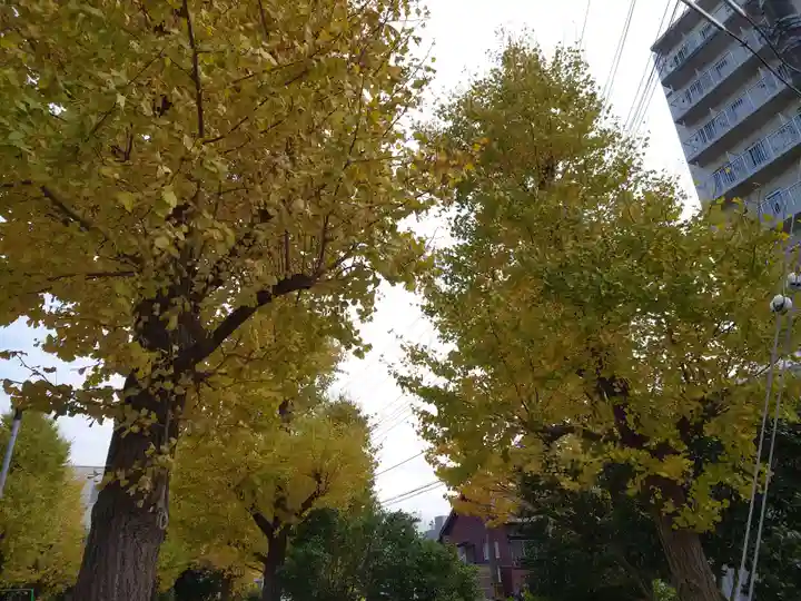 今井神社の自然