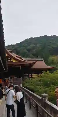 清水寺の本殿・本堂