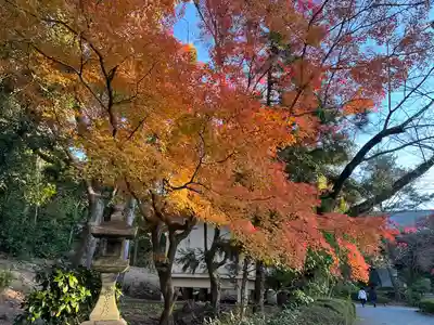 石清水八幡宮(京都府)