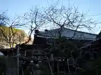 長楽寺のその他建物