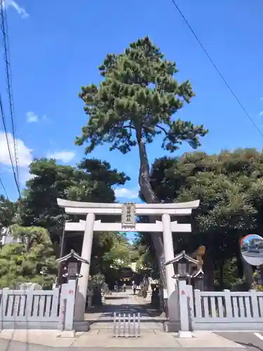 菊田神社の鳥居