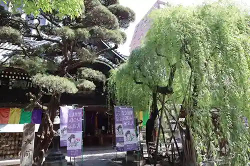 頂法寺（六角堂）の本殿・本堂