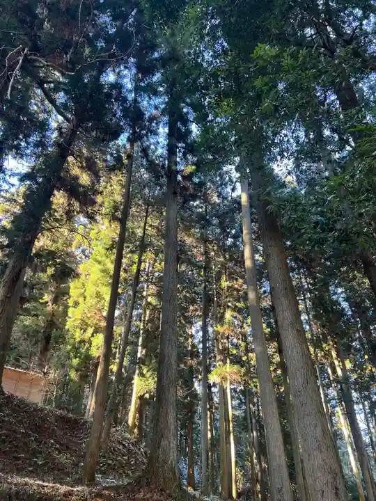 大宮温泉神社(栃木県)