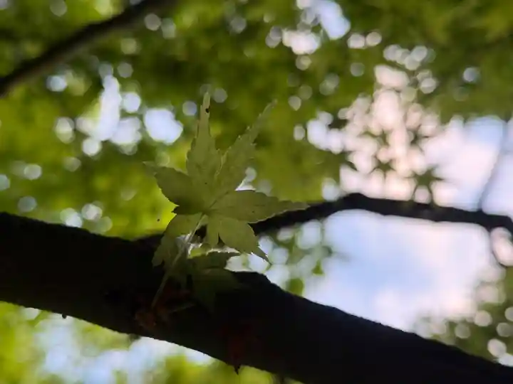 西方山極楽寺(岐阜県)