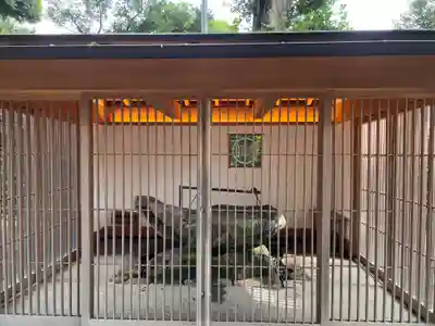 星川杉山神社(神奈川県)