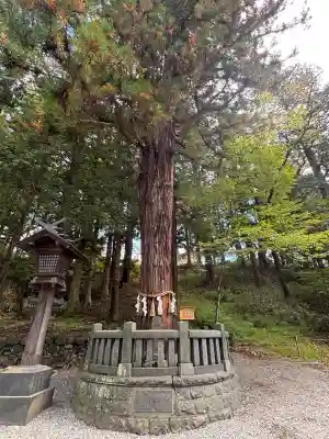 諏訪大社下社春宮(長野県)