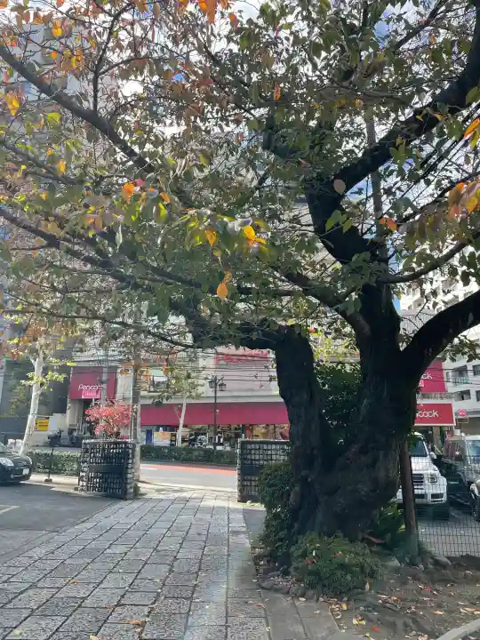大信寺(東京都)
