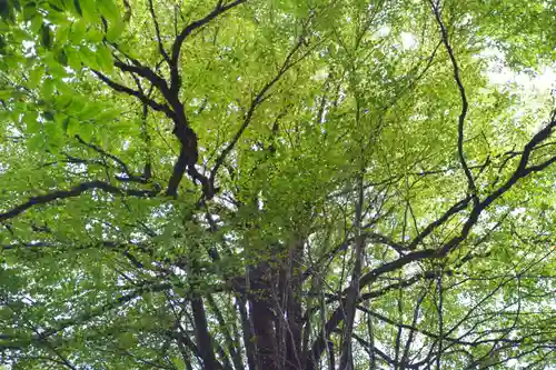 貴船神社(京都府)