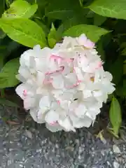 埼玉厄除け開運大師・龍泉寺（切り絵御朱印発祥の寺）(埼玉県)