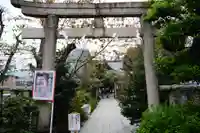 鳩森八幡神社の七五三参
