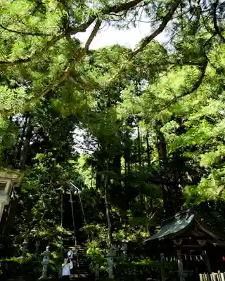 戸隠神社中社(長野県)
