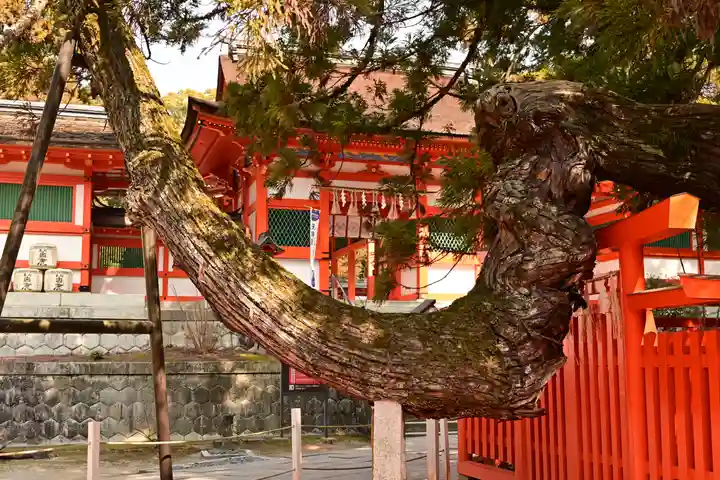 香椎宮(福岡県)