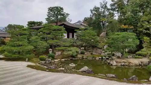 仁和寺の庭園