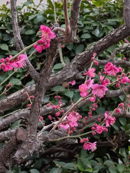 麻布氷川神社(東京都)