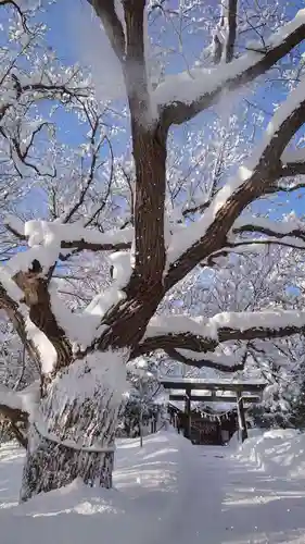 相馬神社(北海道)