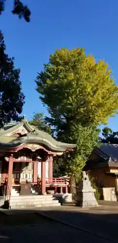 柴又八幡神社の本殿・本堂