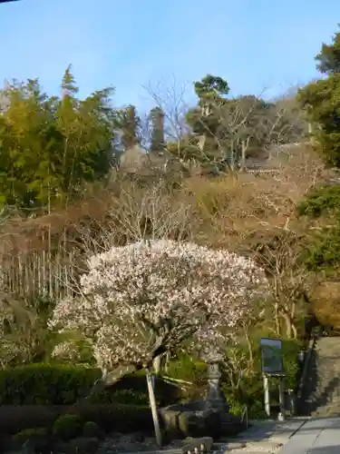 長谷寺の庭園