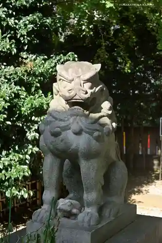 大鳥神社の狛犬