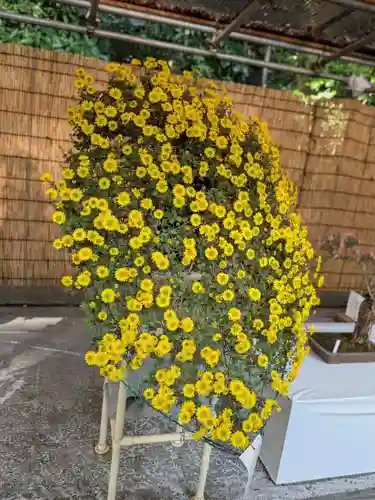 明治神宮(東京都)