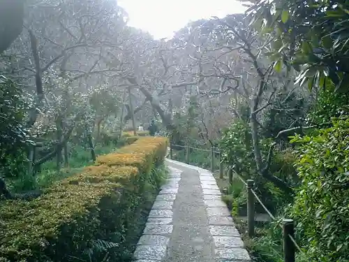 瑞泉寺の庭園