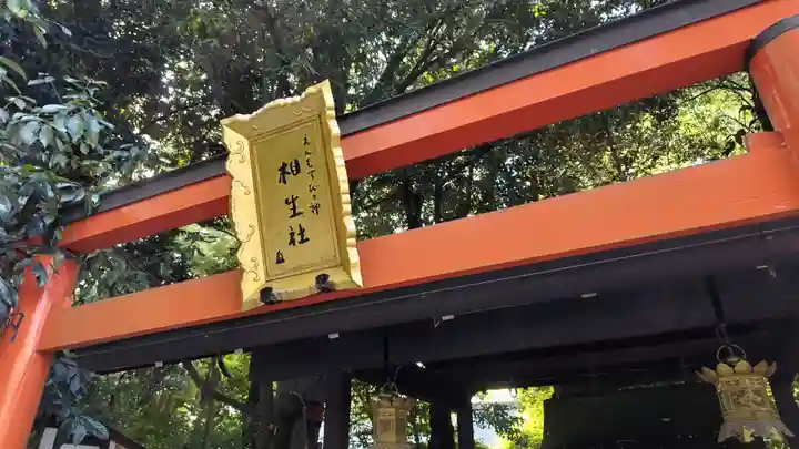 賀茂御祖神社(下鴨神社)(京都府)