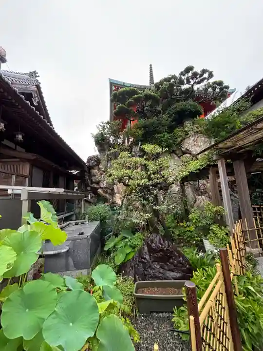 極楽寺(高知県)