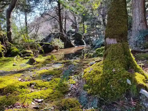 聖寳寺の庭園