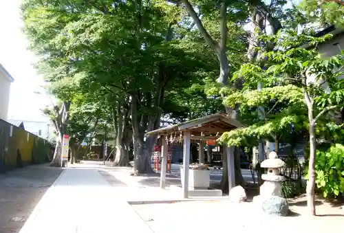 乃木神社の手水