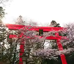 冠稲荷神社の鳥居