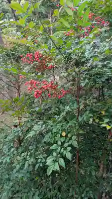 酒門神社(茨城県)