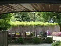 妙福寺の庭園