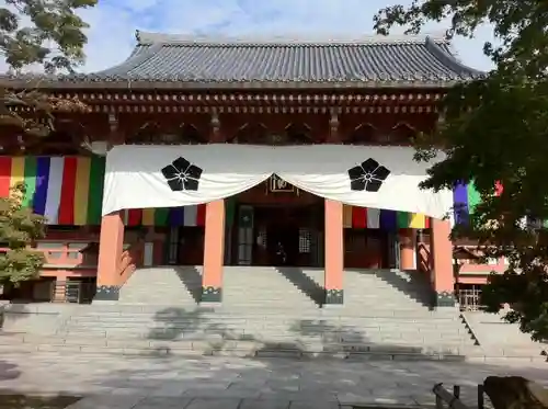 根来寺 智積院の本殿