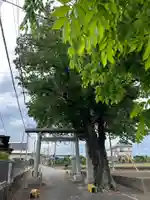 諏訪明神(神奈川県)