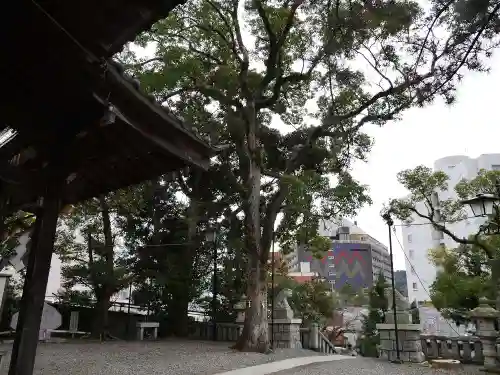 湯前神社の自然