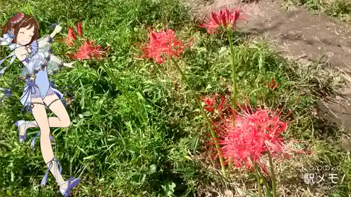 浄光明寺(神奈川県)