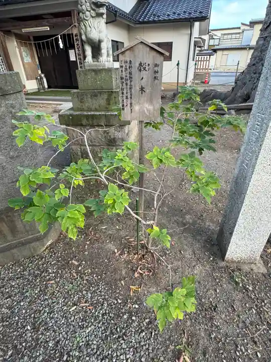 科野大宮社(長野県)