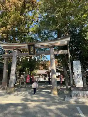 土佐神社の{uncategorized: "未分類", other: "その他", undefined: "問題あり", building: "その他建物", grave: "お墓", sacred_gate: "鳥居", guardian: "狛犬", statue: "像", buddha: "仏像", history: "歴史", nature: "自然", garden: "庭園", animal: "動物", pagoda: "塔", temizu: "手水舎", mountain_gate: "山門・神門", sanctuary: "本殿・本堂", subordinate: "末社・摂社", art: "芸術", scenery: "景色", jizo: "地蔵", ema: "絵馬", goshuin: "御朱印", omikuji: "おみくじ", items: "授与品その他", amulet: "お守り", goshuincho: "御朱印帳", eats: "食事", festival: "お祭り", votive_dance: "神楽", shichigosan: "七五三参", wedding: "結婚式", experience: "体験その他", initially: "初詣", around: "周辺", anti_infection: "感染症対策"}