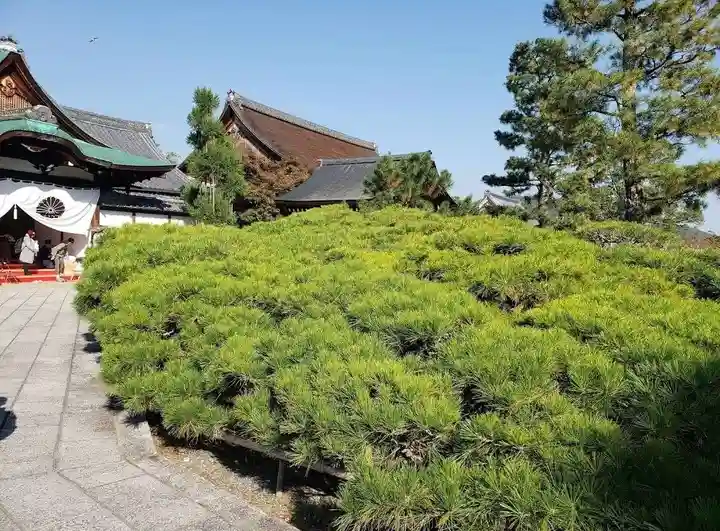 大覚寺(京都府)