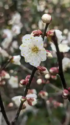 雨宝院(京都府)