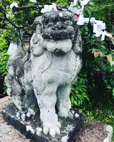 賀蘇山神社の狛犬