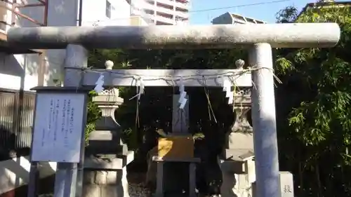堀切天祖神社の鳥居