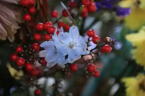 滑川神社 - 仕事と子どもの守り神の手水舎